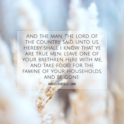Picture 07 - Genesis 42:33 KJV - And the man, the lord of the country, said unto - Bible Verse Picture