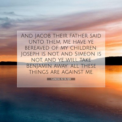 Picture 07 - Genesis 42:36 KJV - And Jacob their father said unto them, Me have ye - Bible Verse Picture