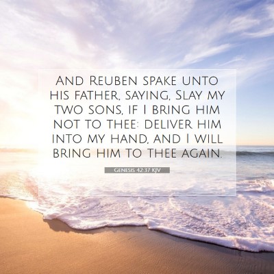 Picture 07 - Genesis 42:37 KJV - And Reuben spake unto his father, saying, Slay my - Bible Verse Picture