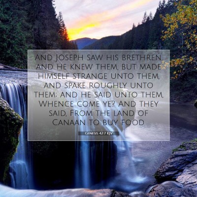 Picture 07 - Genesis 42:7 KJV - And Joseph saw his brethren, and he knew them, - Bible Verse Picture