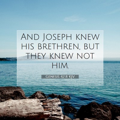 Picture 07 - Genesis 42:8 KJV - And Joseph knew his brethren, but they knew not - Bible Verse Picture