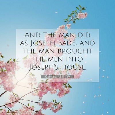 Picture 07 - Genesis 43:17 KJV - And the man did as Joseph bade; and the man - Bible Verse Picture