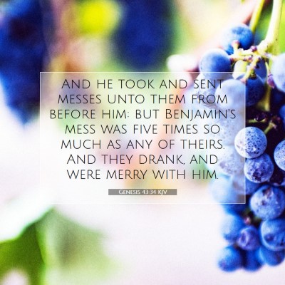 Picture 07 - Genesis 43:34 KJV - And he took and sent messes unto them from before - Bible Verse Picture
