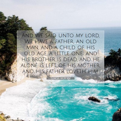 Picture 07 - Genesis 44:20 KJV - And we said unto my lord, We have a father, an - Bible Verse Picture