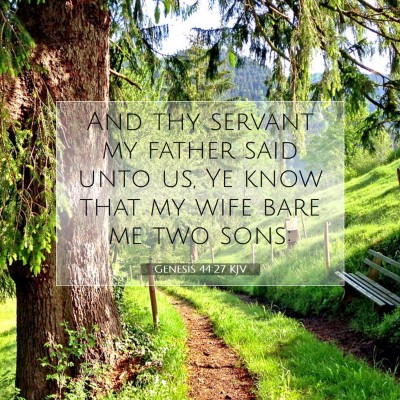 Picture 07 - Genesis 44:27 KJV - And thy servant my father said unto us, Ye know - Bible Verse Picture