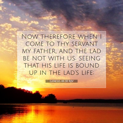 Picture 07 - Genesis 44:30 KJV - Now therefore when I come to thy servant my - Bible Verse Picture