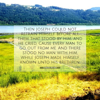Picture 07 - Genesis 45:1 KJV - Then Joseph could not refrain himself before all - Bible Verse Picture