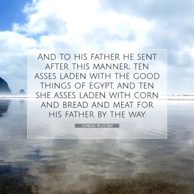 Picture 07 - Genesis 45:23 KJV - And to his father he sent after this manner; ten - Bible Verse Picture