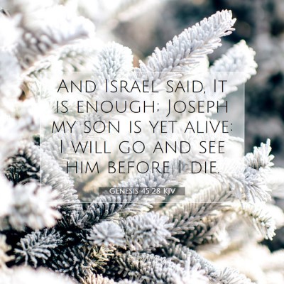 Picture 07 - Genesis 45:28 KJV - And Israel said, It is enough; Joseph my son is - Bible Verse Picture