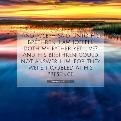 Picture 07 - Genesis 45:3 KJV - And Joseph said unto his brethren, I am Joseph; - Bible Verse Picture