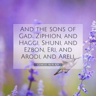 Picture 07 - Genesis 46:16 KJV - And the sons of Gad; Ziphion, and Haggi, Shuni, - Bible Verse Picture