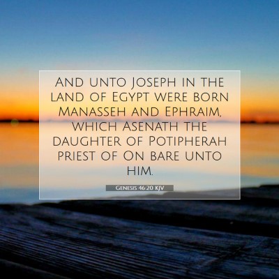 Picture 07 - Genesis 46:20 KJV - And unto Joseph in the land of Egypt were born - Bible Verse Picture