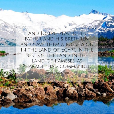 Picture 07 - Genesis 47:11 KJV - And Joseph placed his father and his brethren, - Bible Verse Picture