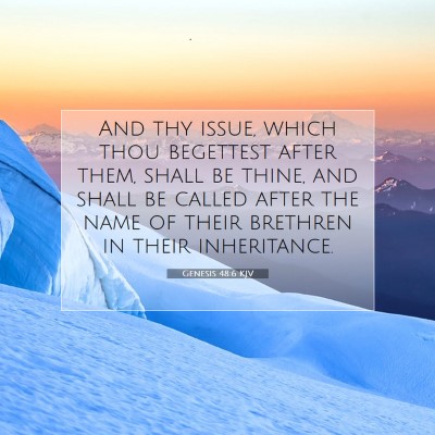 Picture 07 - Genesis 48:6 KJV - And thy issue, which thou begettest after them, - Bible Verse Picture