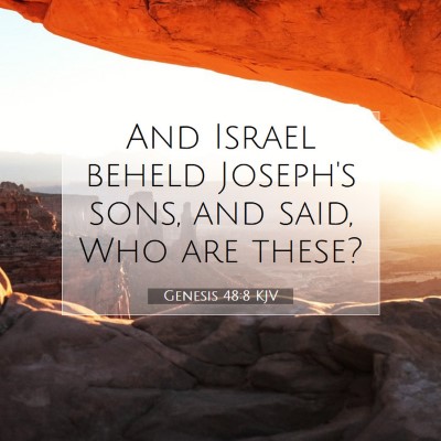 Picture 07 - Genesis 48:8 KJV - And Israel beheld Joseph's sons, and said, Who - Bible Verse Picture