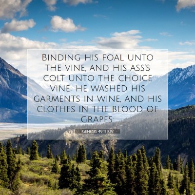 Picture 07 - Genesis 49:11 KJV - Binding his foal unto the vine, and his ass's - Bible Verse Picture