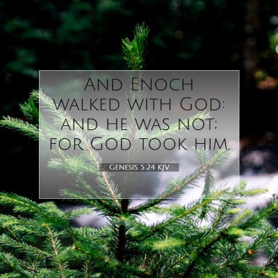 Picture 07 - Genesis 5:24 KJV - And Enoch walked with God: and he was not; for - Bible Verse Picture