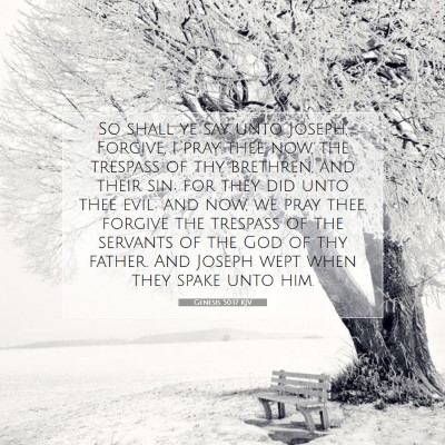 Picture 07 - Genesis 50:17 KJV - So shall ye say unto Joseph, Forgive, I pray thee - Bible Verse Picture