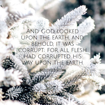 Picture 07 - Genesis 6:12 KJV - And God looked upon the earth, and, behold, it - Bible Verse Picture