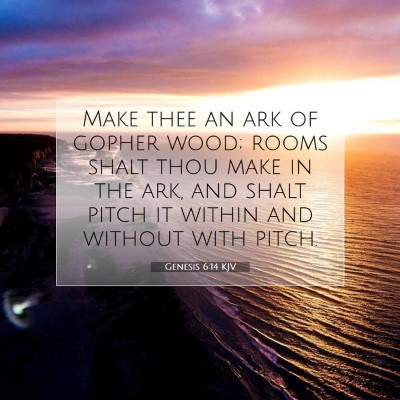 Picture 07 - Genesis 6:14 KJV - Make thee an ark of gopher wood; rooms shalt thou - Bible Verse Picture