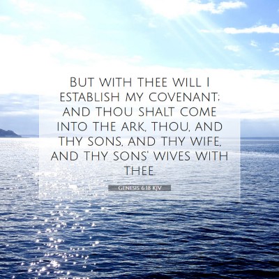 Picture 07 - Genesis 6:18 KJV - But with thee will I establish my covenant; and - Bible Verse Picture