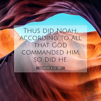Picture 07 - Genesis 6:22 KJV - Thus did Noah; according to all that God - Bible Verse Picture