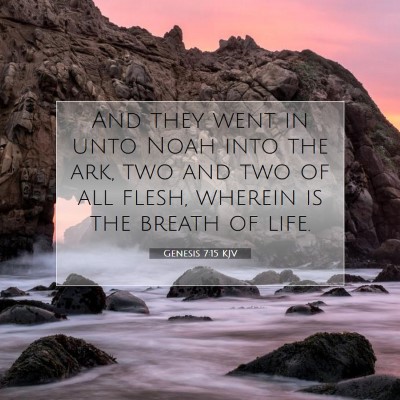 Picture 07 - Genesis 7:15 KJV - And they went in unto Noah into the ark, two and - Bible Verse Picture