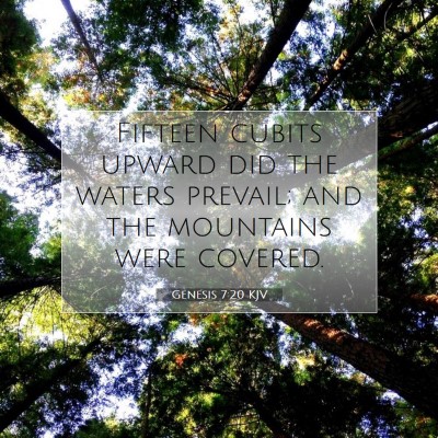 Picture 07 - Genesis 7:20 KJV - Fifteen cubits upward did the waters prevail; and - Bible Verse Picture