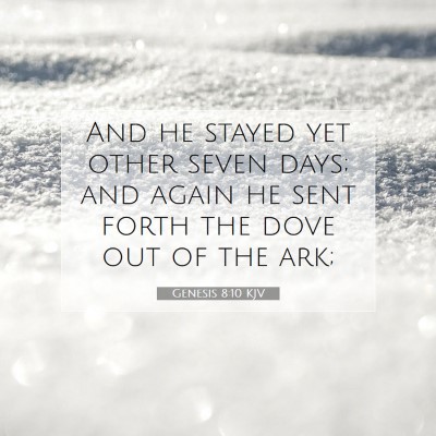 Picture 07 - Genesis 8:10 KJV - And he stayed yet other seven days; and again he - Bible Verse Picture