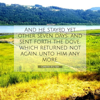 Picture 07 - Genesis 8:12 KJV - And he stayed yet other seven days; and sent - Bible Verse Picture