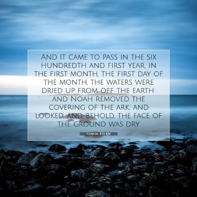 Picture 07 - Genesis 8:13 KJV - And it came to pass in the six hundredth and - Bible Verse Picture