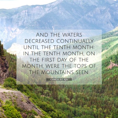 Picture 07 - Genesis 8:5 KJV - And the waters decreased continually until the - Bible Verse Picture