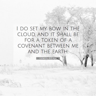 Picture 07 - Genesis 9:13 KJV - I do set my bow in the cloud, and it shall be for - Bible Verse Picture