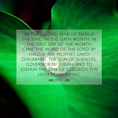 Picture 07 - Haggai 1:1 KJV - In the second year of Darius the king, in the - Bible Verse Picture