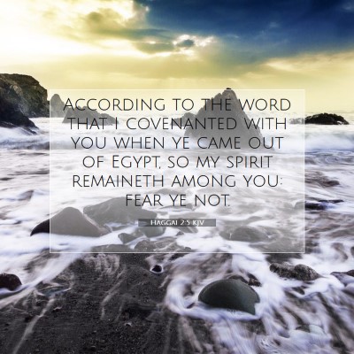 Picture 07 - Haggai 2:5 KJV - According to the word that I covenanted with you - Bible Verse Picture