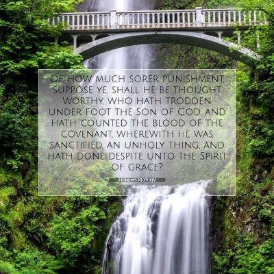 Picture 07 - Hebrews 10:29 KJV - Of how much sorer punishment, suppose ye, shall - Bible Verse Picture