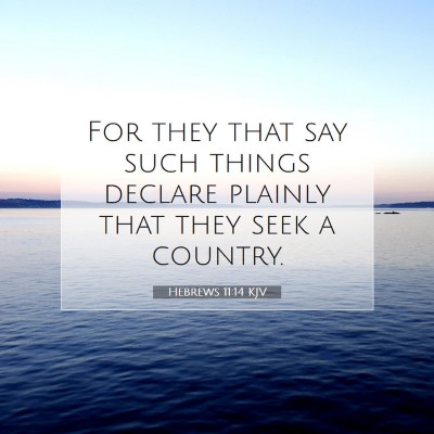 Picture 07 - Hebrews 11:14 KJV - For they that say such things declare plainly - Bible Verse Picture