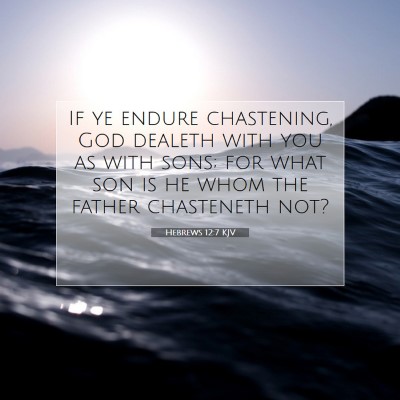 Picture 07 - Hebrews 12:7 KJV - If ye endure chastening, God dealeth with you as - Bible Verse Picture