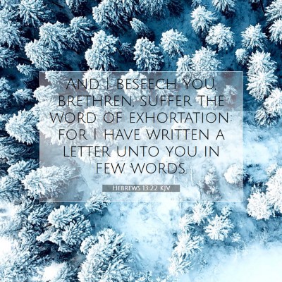 Picture 07 - Hebrews 13:22 KJV - And I beseech you, brethren, suffer the word of - Bible Verse Picture