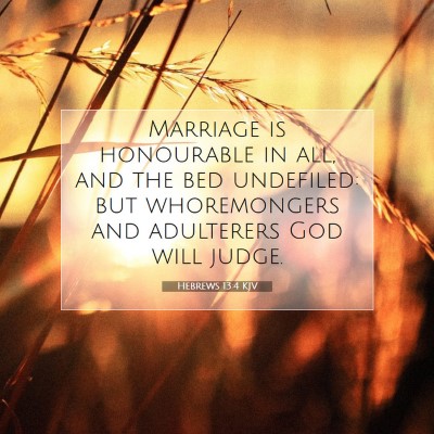 Picture 07 - Hebrews 13:4 KJV - Marriage is honourable in all, and the bed - Bible Verse Picture