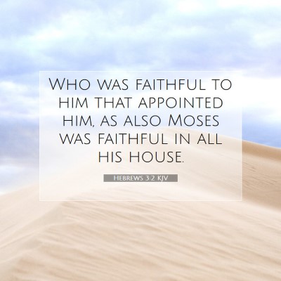 Picture 07 - Hebrews 3:2 KJV - Who was faithful to him that appointed him, as - Bible Verse Picture