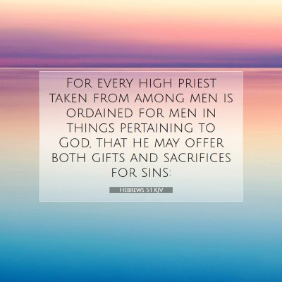 Picture 07 - Hebrews 5:1 KJV - For every high priest taken from among men is - Bible Verse Picture