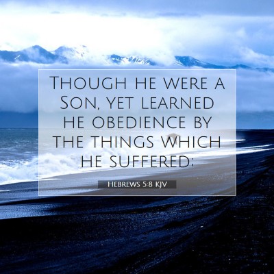 Picture 07 - Hebrews 5:8 KJV - Though he were a Son, yet learned he obedience by - Bible Verse Picture