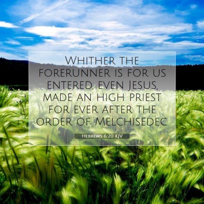 Picture 07 - Hebrews 6:20 KJV - Whither the forerunner is for us entered, even - Bible Verse Picture