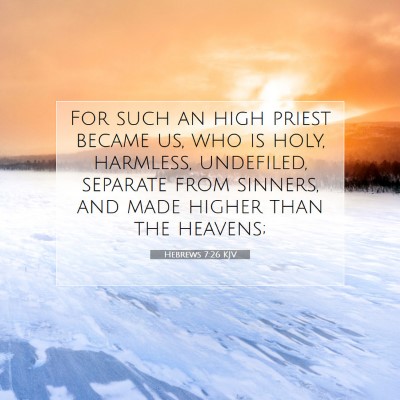 Picture 07 - Hebrews 7:26 KJV - For such an high priest became us, who is holy, - Bible Verse Picture