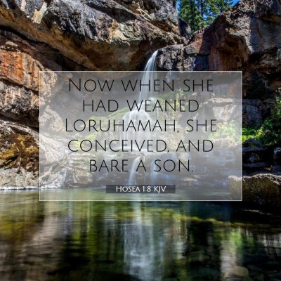 Picture 07 - Hosea 1:8 KJV - Now when she had weaned Loruhamah, she conceived, - Bible Verse Picture
