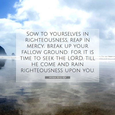 Picture 07 - Hosea 10:12 KJV - Sow to yourselves in righteousness, reap in - Bible Verse Picture