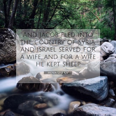 Picture 07 - Hosea 12:12 KJV - And Jacob fled into the country of Syria, and - Bible Verse Picture
