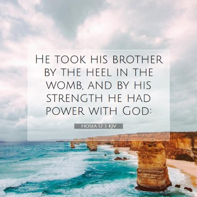 Picture 07 - Hosea 12:3 KJV - He took his brother by the heel in the womb, and - Bible Verse Picture