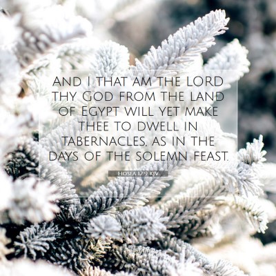 Picture 07 - Hosea 12:9 KJV - And I that am the LORD thy God from the land of - Bible Verse Picture